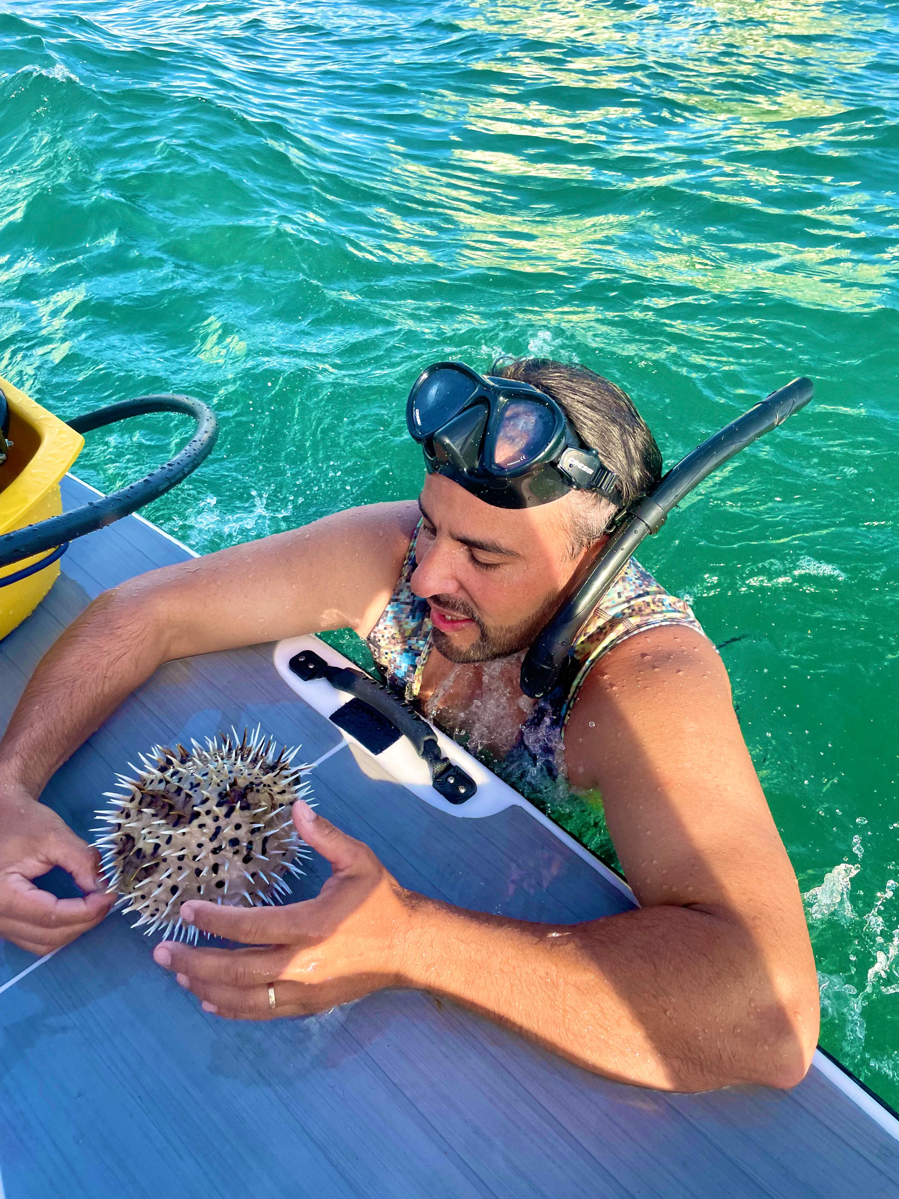 Snorkeling & Sea Life