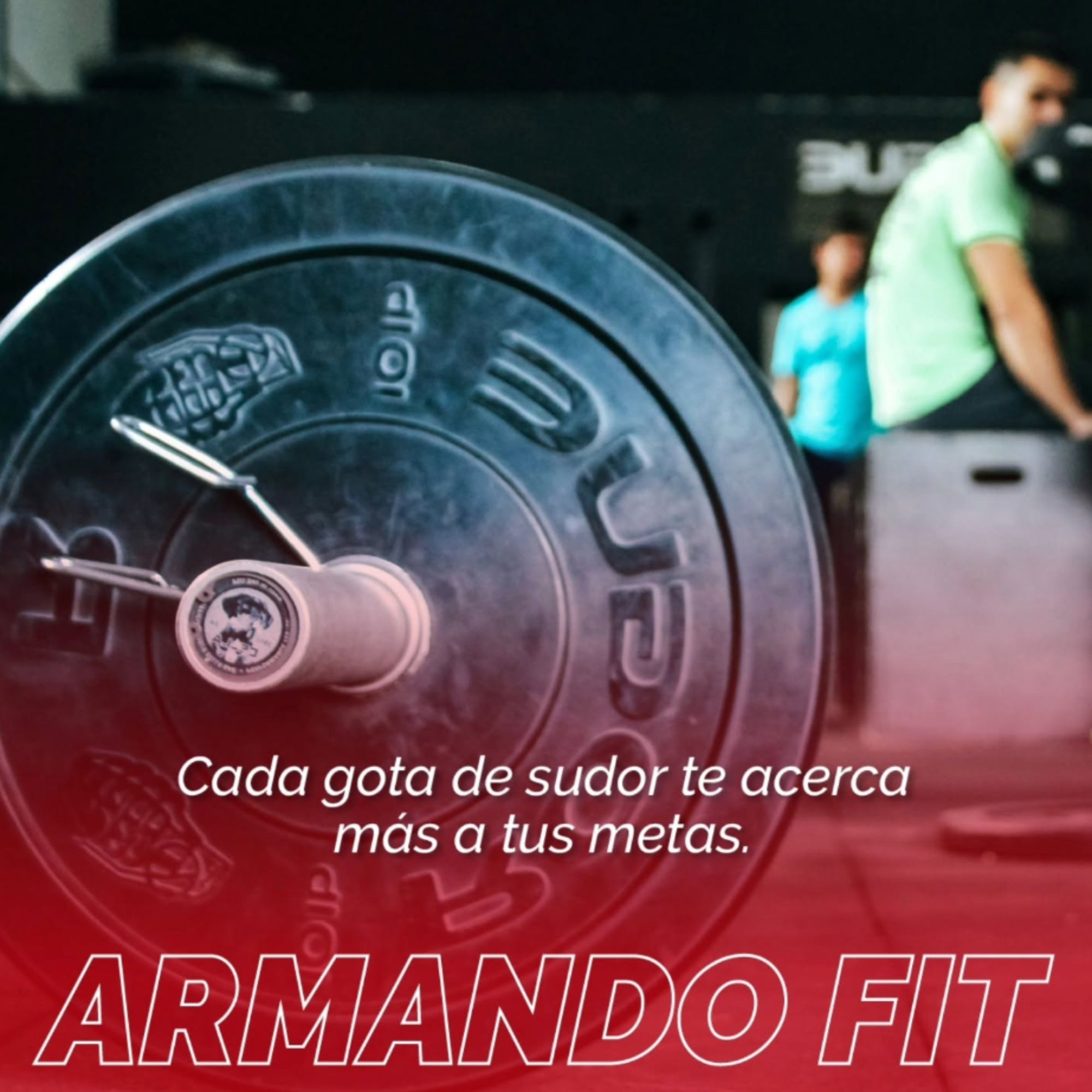 Armando Fit gallery 5